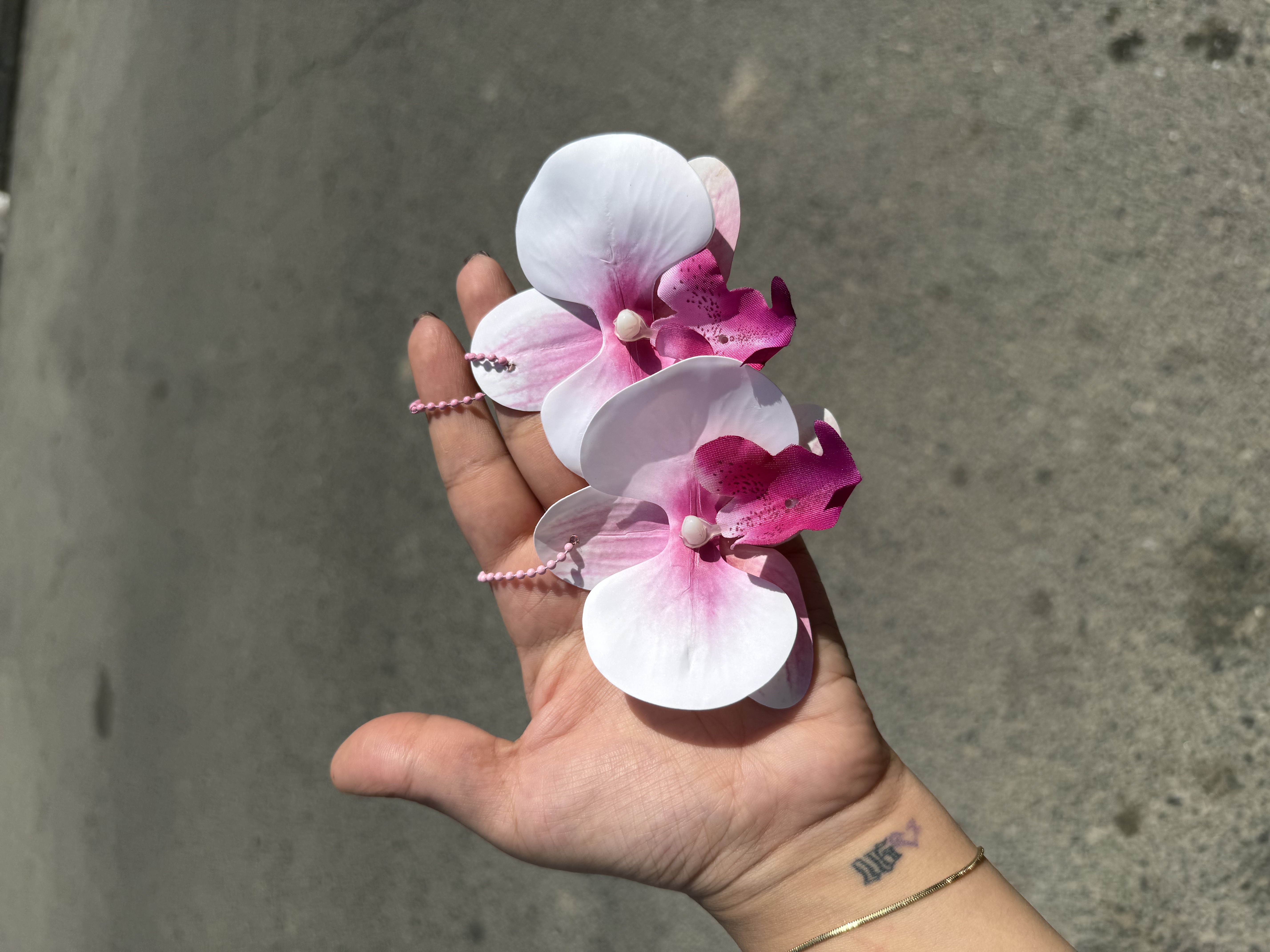 چارم ارکیده
